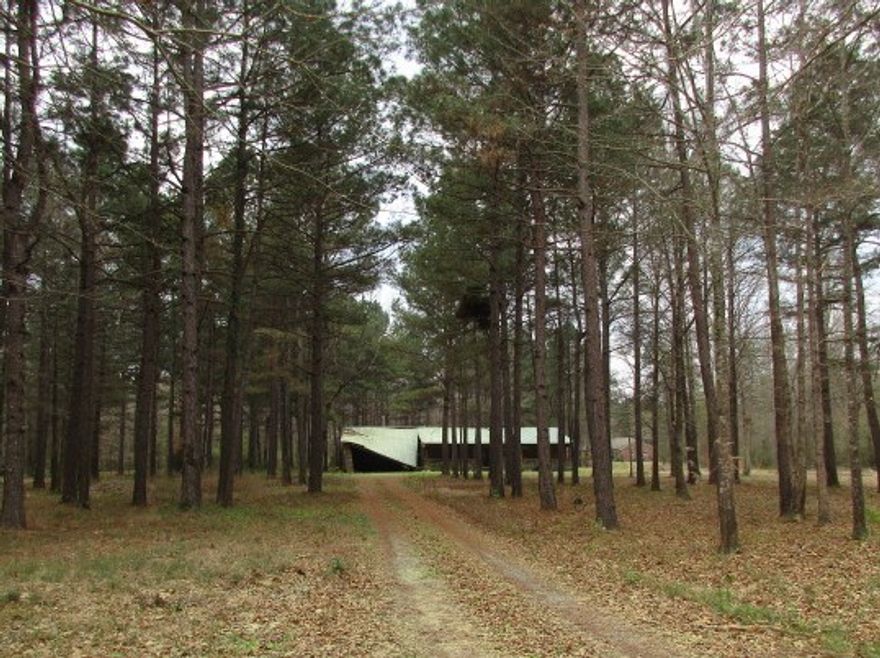 Home is a fixer upper, being sold "AS IS".  This log home is in the Watson Chapel area and sits on 8.8 acres.  3 bedrooms and 2 baths with 1479sf.  Front porch.  **Agents Plese see Remarks**.