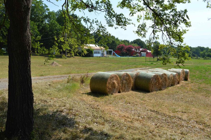 New Metal Roof, New HVAC on this wonderful 24.85 Acres of rolling hills in the northern part of Paragould within the city limits.  The property is about half timber and half pasture, featuring two freshly painted barns; one is 1,024 sq/ft the other 3,577 sq/ft.  Along with this comes an in-ground swimming pool, with a diving board and slide, a pool house that has five rooms, full bathroom, new metal roof, heat and air unit,  windows and doors.  Deer, turkey and other wildlife are seen often on this beautiful property. Whether you enjoy hunting, 4-wheeler riding, swimming, entertaining friends and family or just relaxing this is the place for you!