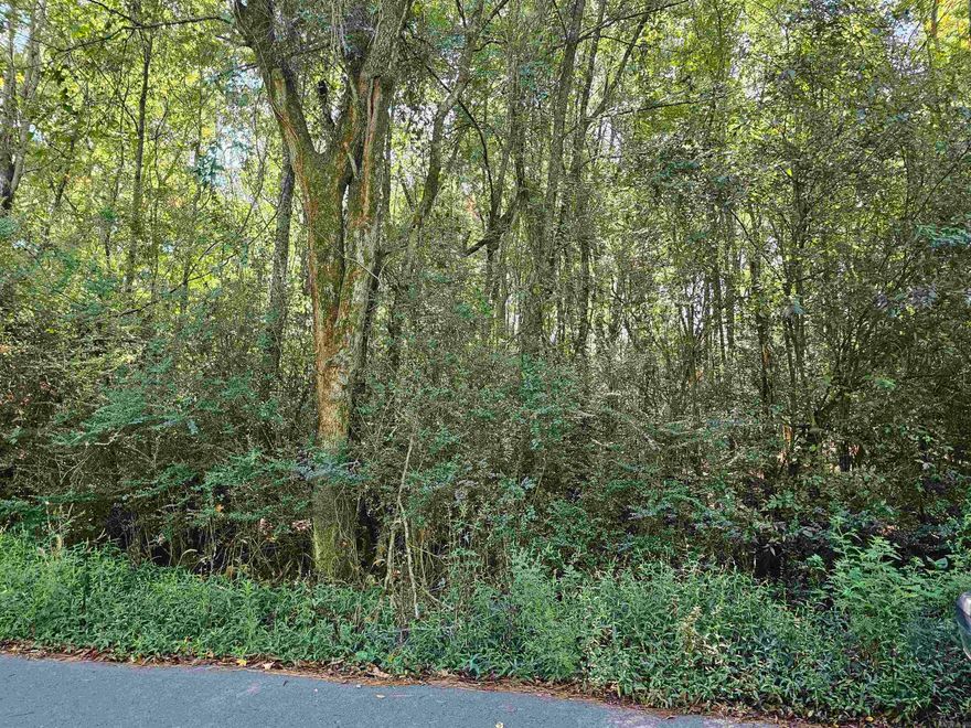 This property is contains 1.15 acres of land!  Big enough to make a very nice place.  Leave it shady or let the sun shine in!  City utilities are available.  Build a home or get approval from the city to move in a mobile home!  You can even walk to the city park from this property!