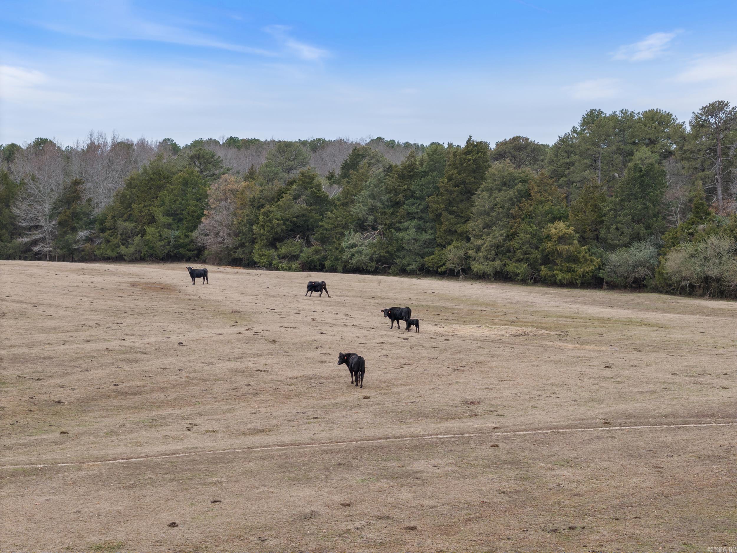 Metes & Bounds - Land