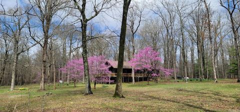 Photo of 685 254 Highway, Leslie, AR 72645 (MLS # 25044173)