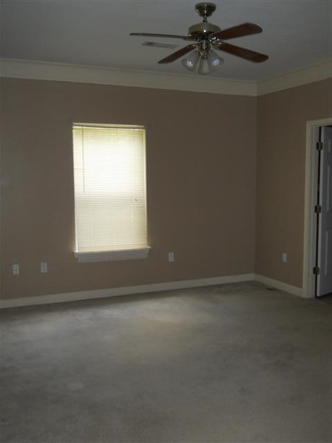 Leaning Pines - Residential