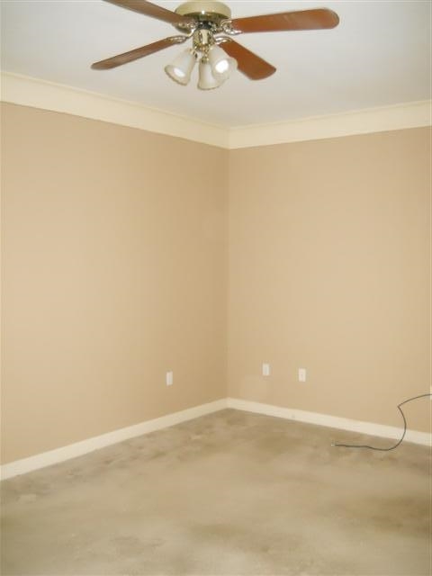 Leaning Pines - Residential