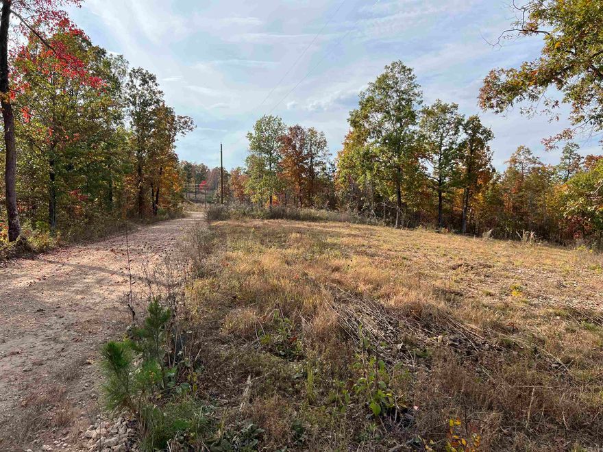 Looking for land in the country?  This is a nice and quiet location with Great Views!  Wonderful hunting opportunity! The property has deer, turkey and bear on it.  Year round spring and electricity runs across property.  Area close to the road is level enough to build a cabin or hunting camp.  Fiber cable is being run across the property at this time.