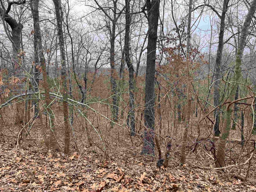 Nice wooded lot in the outskirts of town. Close to Lake Aztec and just off Cherokee Road.