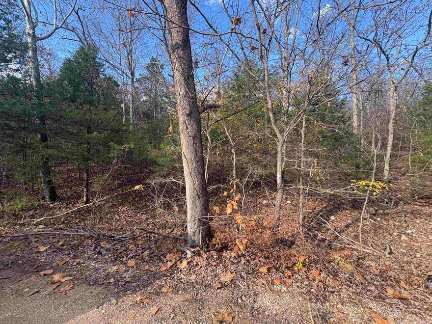 Lake Norfork property! Here is your chance to own property with NO RESTRICTIONS just minutes from Panther Bay Marina and Fouts Marina. Bring your RV and set up your weekend retreat instantly. Build your dream home and live the lake life. Conveniently located just minutes from shopping, restaurants and recreation. Owner is in process of doing perc tests for the lots.