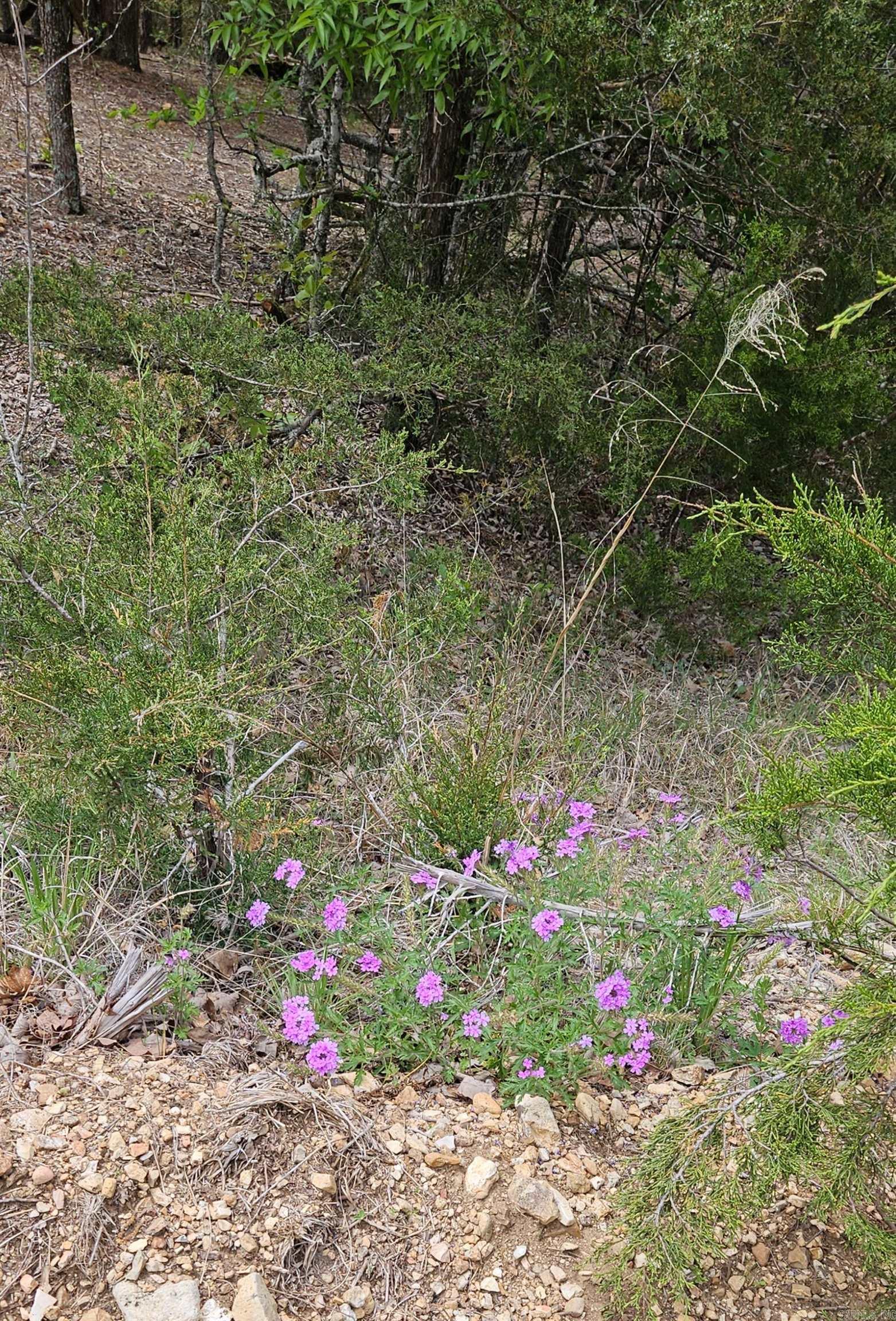 Highland Estates - Land