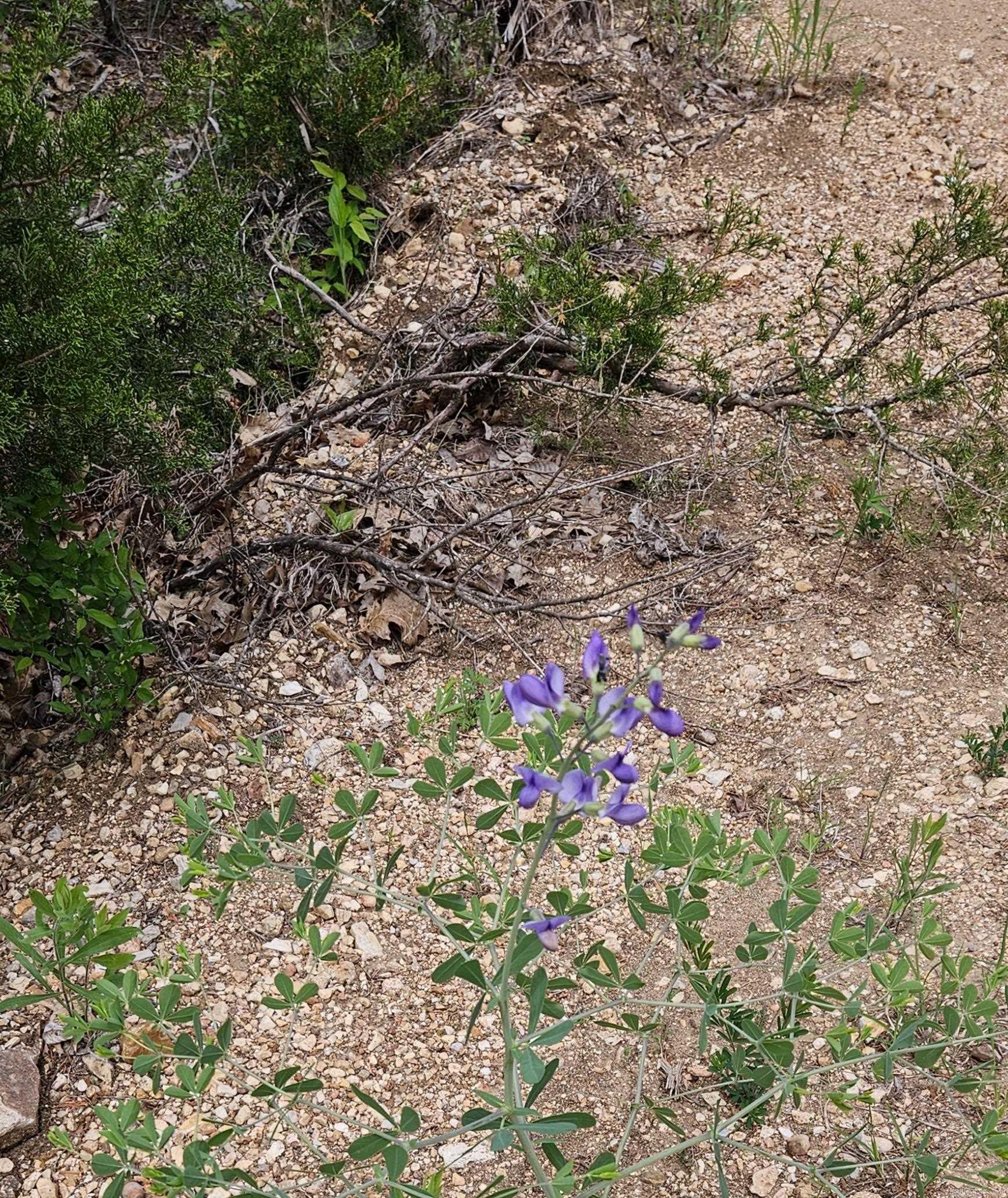 Highland Estates - Land