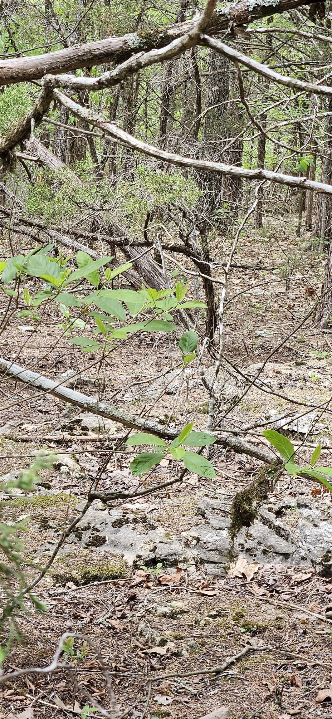 Highland Estates - Land