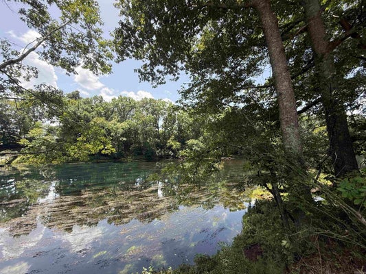 61 RIVER RIDGE RD, HEBER SPRINGS, AR 72543 - Image 4e2883b5ce2d667159f6ae7bc64e07c3/3231302056