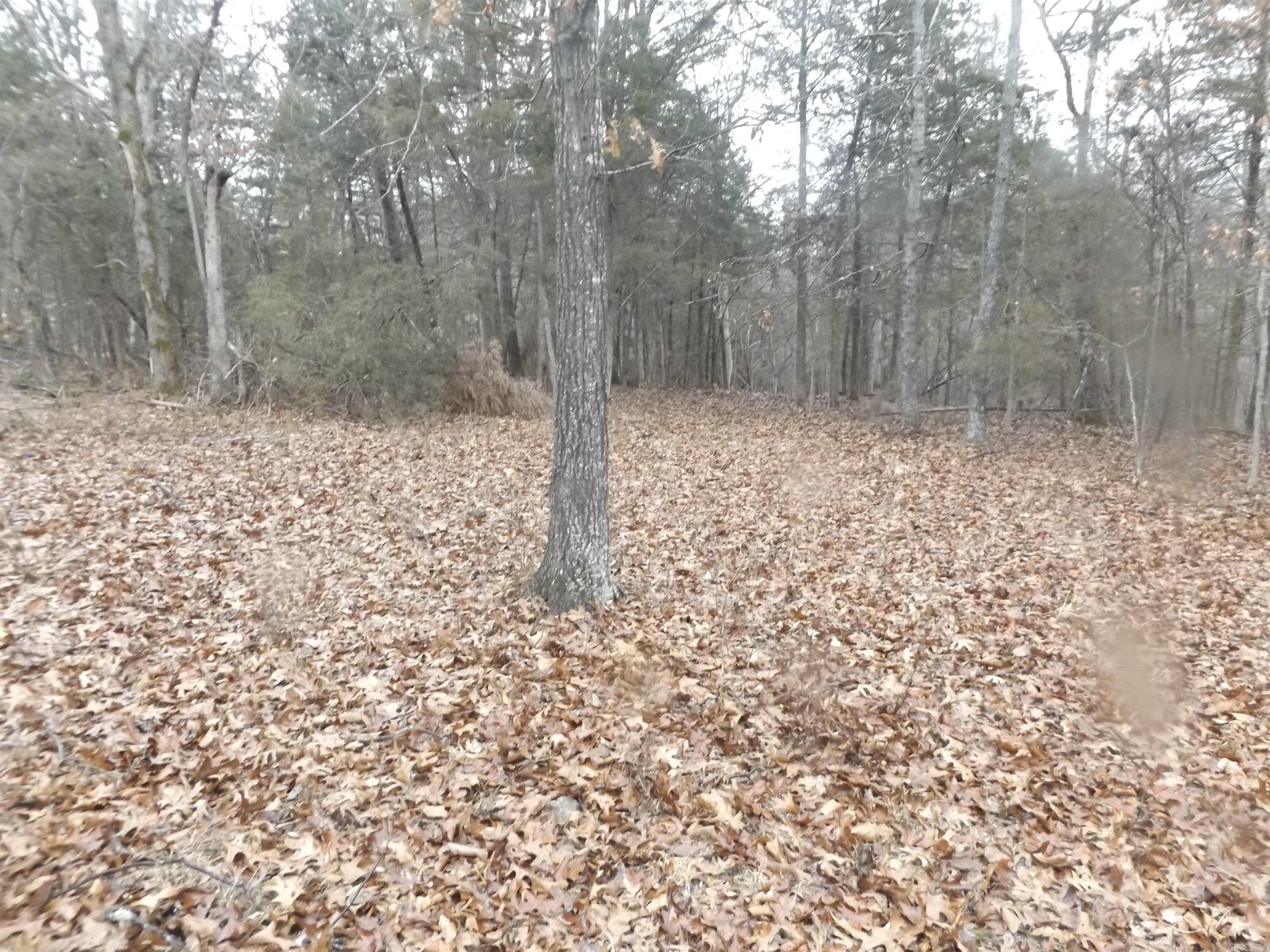 Not in Subdivision - Farm