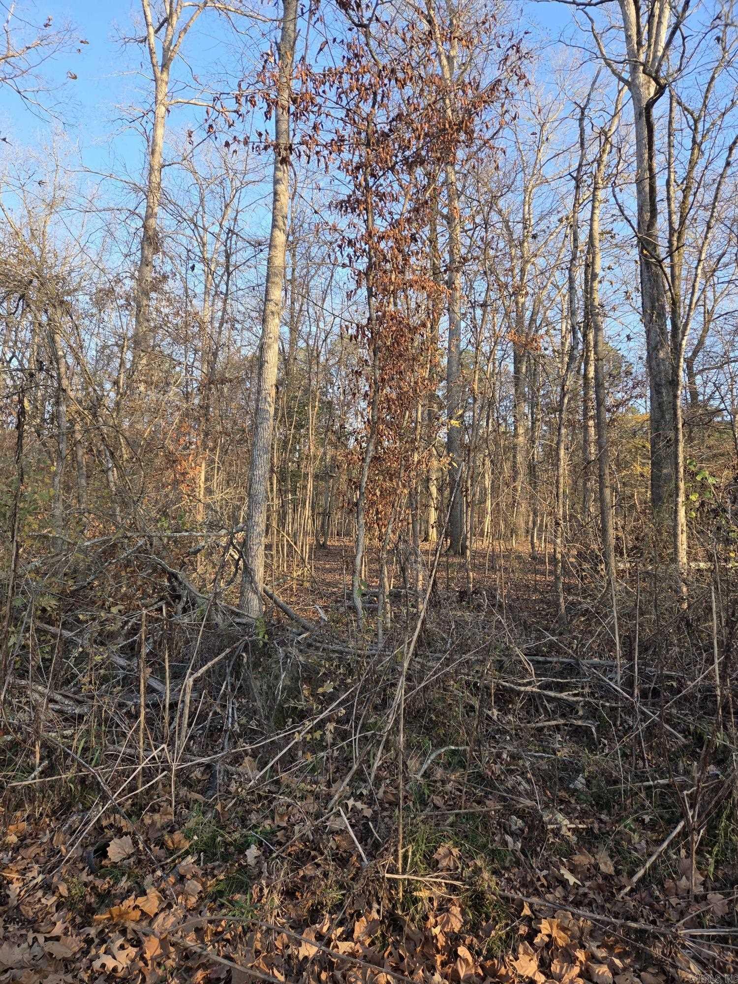 DIAMONDHEAD - Residential