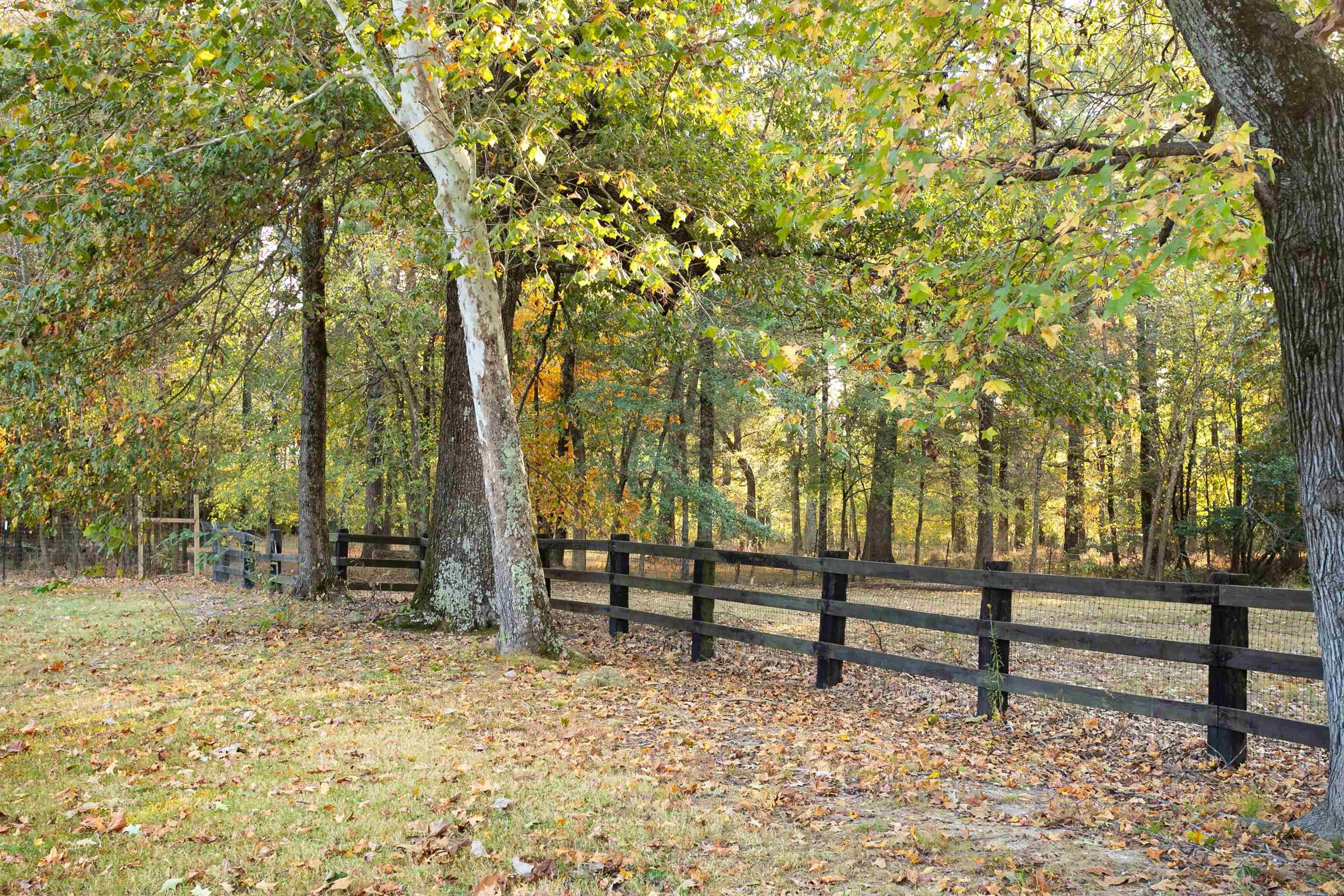 Gazaway - Residential