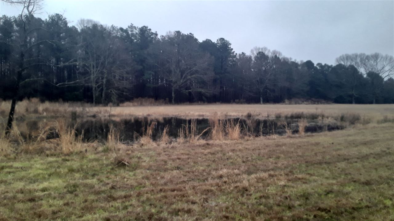 Metes & Bounds - Land