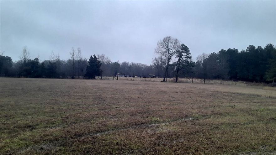 Property is 26.76 acres of pasture land that is a cattle farm in operation now. Has a pond, new fences including cross fences. Surveyed in 2017. Three year old 30' x 45' steel hay barn. Has some utilities on site and road frontage on County road. 1.25 miles from Hwy 530. 3.5 miles from Star City.  Beautiful place to build your dream house overlooking the pasture.   Shared driveway with mobile home, mobile home is not included in sale. Annual taxes not available at this time Agents see Remarks