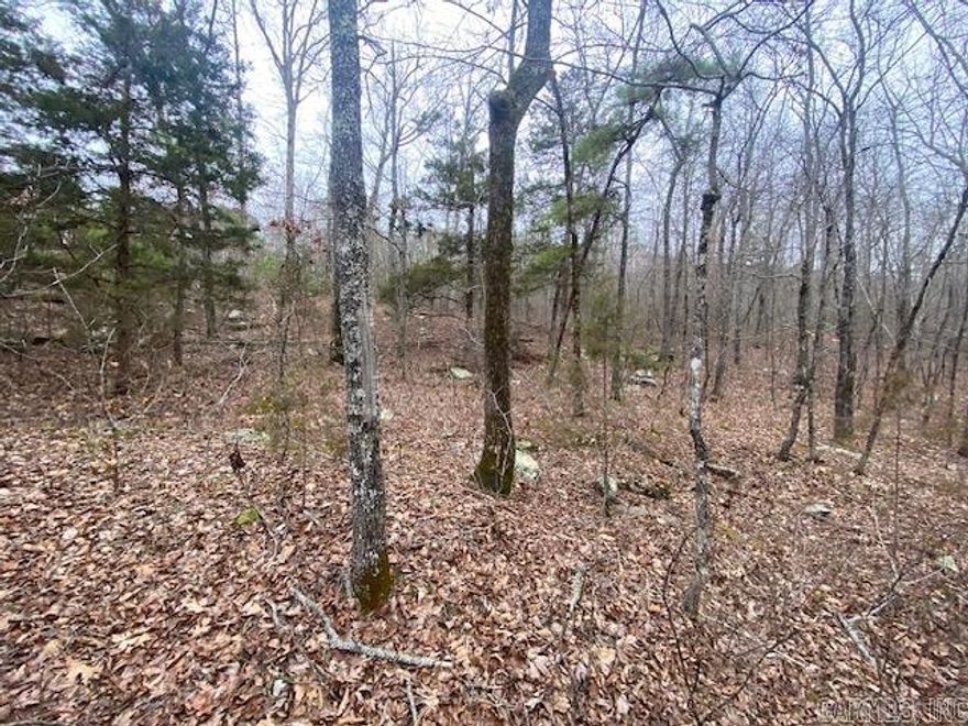 3.23 acre lot in the beautiful Holley Mountain Airpark set in Arkansas's Ozark Mountains. 4800 x 50 Runway, GPS and lighting. Close to Greer Ferry lake with many amenities: biking, swimming, Golf, and fishing to name a few. 15 minutes away from Clinton for shopping, restaurants and Hospital with a helipad. Minutes from Hwy 65 to take a trip to Branson, Missouri. Property is close to gate at park entrance makes for easy excess. Have to see to enjoy the beauty of this Airpark. This is a gated community and will require key for gate access to get in. I can make arrangements.