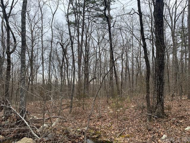 Holley Mountain Airpark - Land