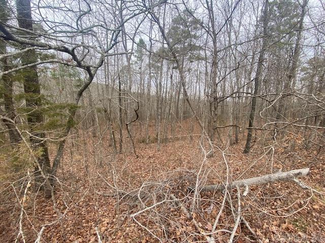 Holley Mountain Airpark - Land