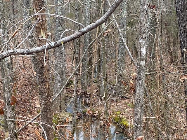 Holley Mountain Airpark - Land