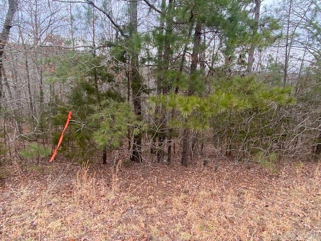 Holley Mountain Airpark - Land