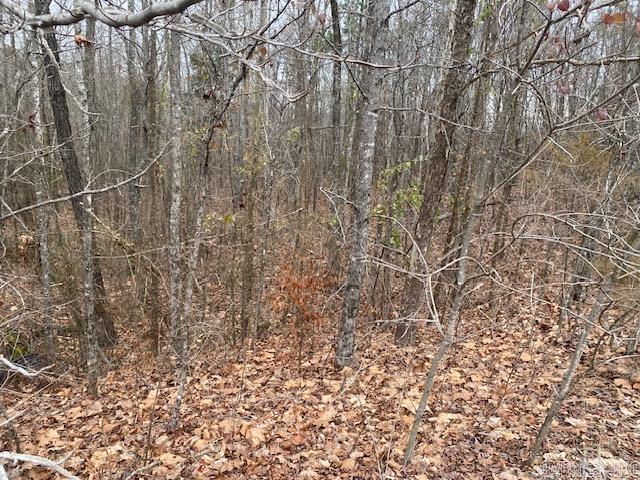 Holley Mountain Airpark - Land