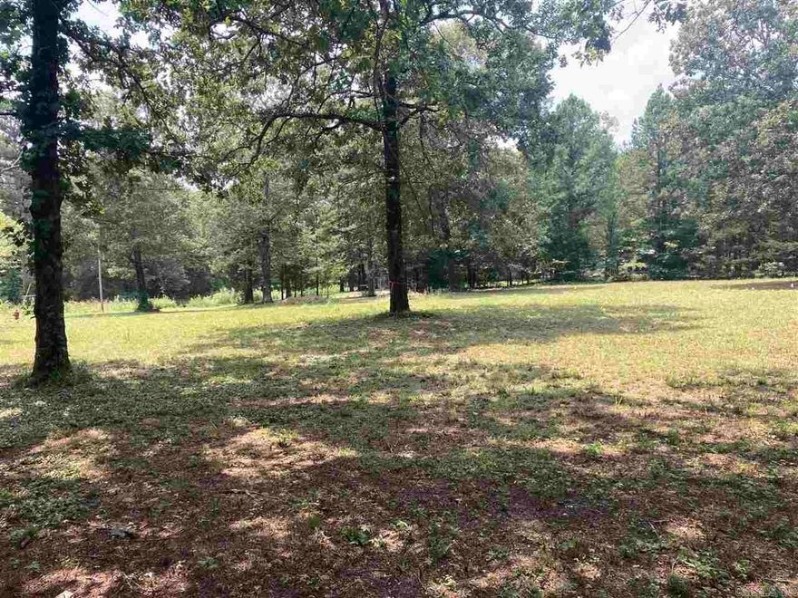 Nice little lot in Mountain View with septic and water already on property.