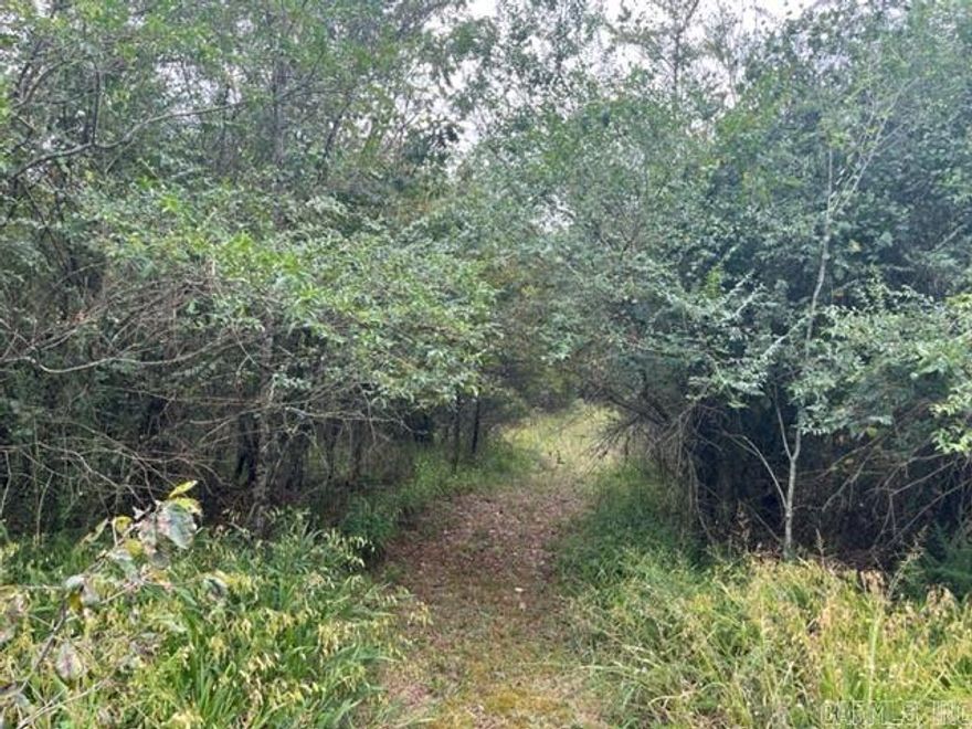 LOCATION! LOCATION! LOCATION! NO RESTRICTIONS! APPROX 5 ACRES MOSTLY FLAT WOODED IN FOUNTAIN LAKE SCHOOL DISTRICT LOCATED IN A HIGHLY DESIRED NEIGHBORHOOD.  LOCATED JUST OUTSIDE THE HSV GLAZY PEAU GATE! COUNTY WATER, ELECTRIC AND CABLE EASILY ACCESSIBLE AT PROPERTY LINE.  MORE ACREAGE AVAILABLE JUST MINUTES FROM DOWNTOWN HOTSPRINGS, HOT SPRINGS VILLAGE, AND BENTON!  MAKE AN OFFER!! **3rd picture is of the entire 19 acres parcel..this listing is for 5 acres.