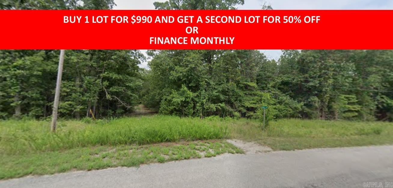 Buy one lot and get 50% off an additional lot! Owner-finance for easy terms. Cash buyers can pay by debit or credit card as well. Nice lot to develop or hold for future value. Public water and electric are available to run to property and will need septic. Owner/agent. No mobiles allowed. 300-2500 minimum build size on any other type of home, depending on subdivision. Finance is $100 down and 10 months at $99 and closing costs are included. Lots marked with red banner are part of promotion. No limit on lots. Buyer responsible for any/all taxes and lots sold "as-is". Quit claim deed conveys. Parcel ID# 215-14204-000