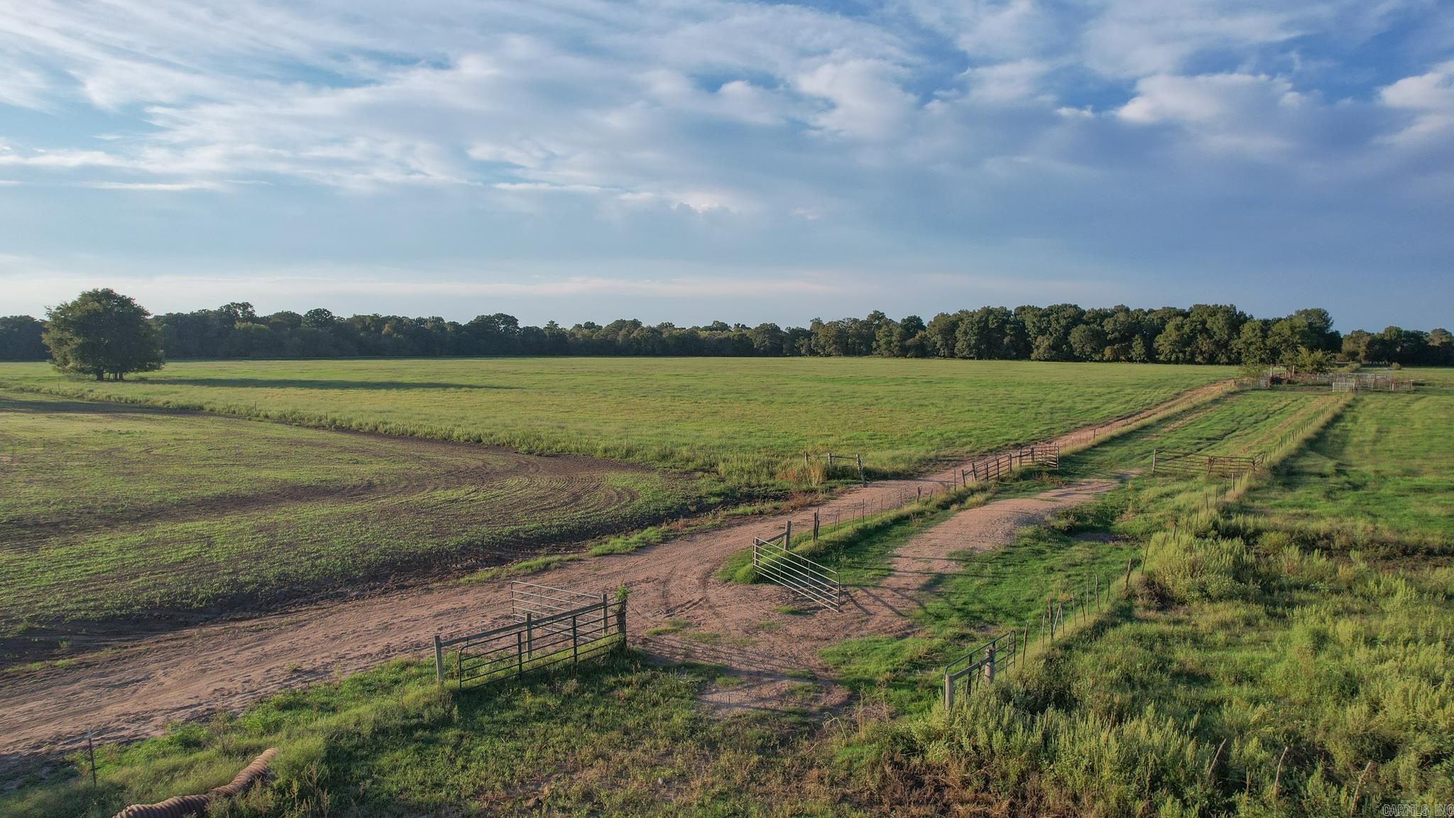 Great opportunity to own a cattle ranch near Red River. This property is currently leased and has been well-managed and improved for many years. Ranch improvements include planting and establishing grass, fencing, cross-fencing, and rotational grazing. There are approximately 500 acres of pastureland, and the remaining acres are wooded, providing some top-notch deer hunting. The general location of the property lends itself to big bucks, and some areas could be improved for duck hunting. There is also a 40-acre pecan orchard located on the property to expand its investment potential. Property in this area doesnāt come up for sale often. Call today!