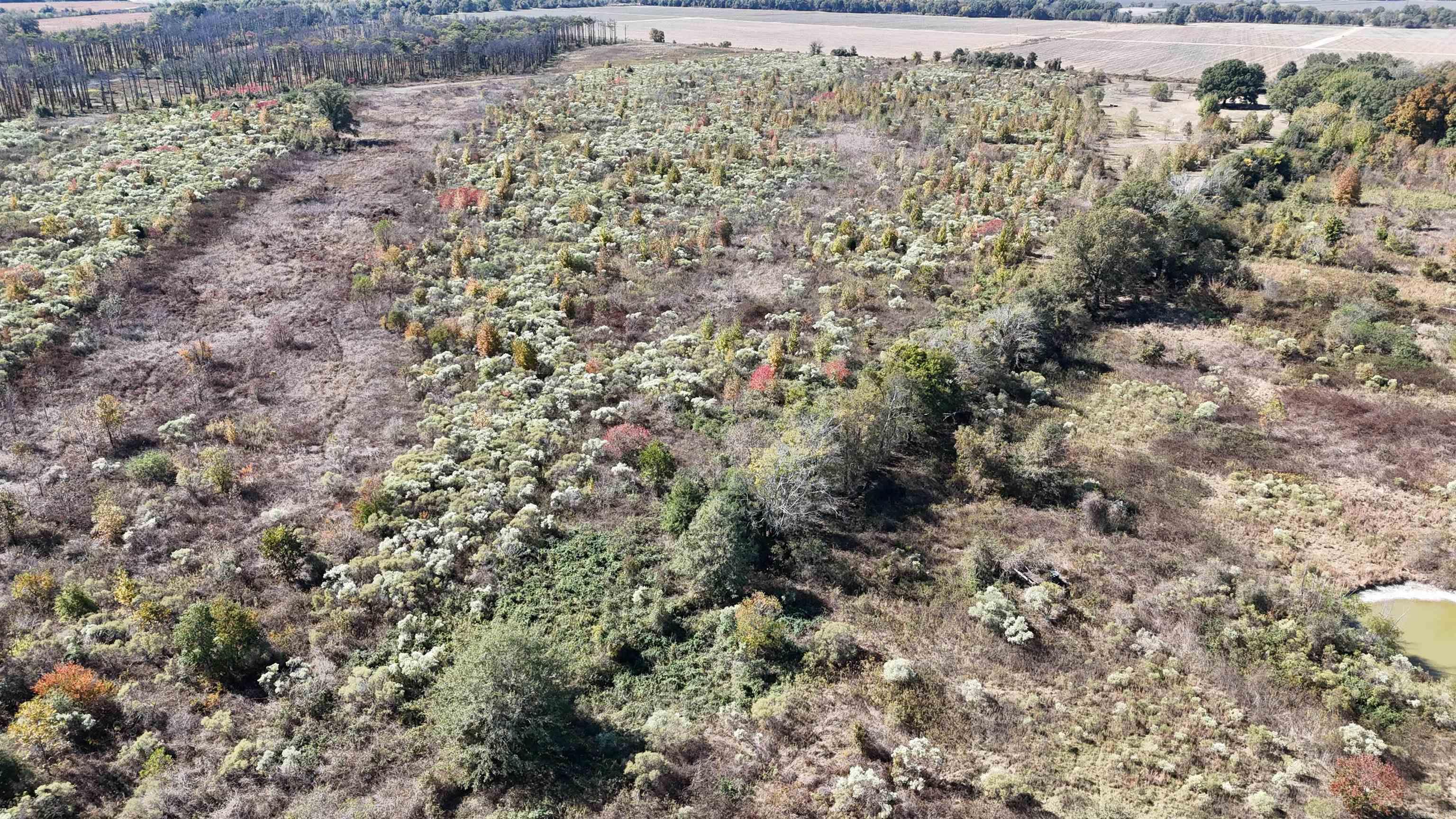 Not in Subdivision - Land