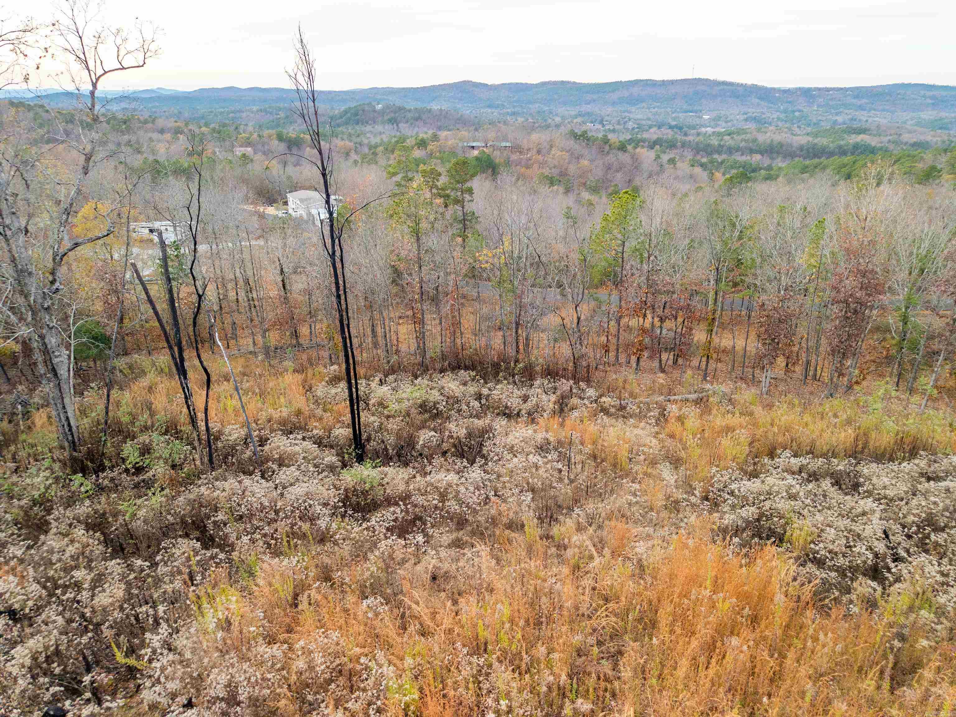 Bright Morning Star - Land