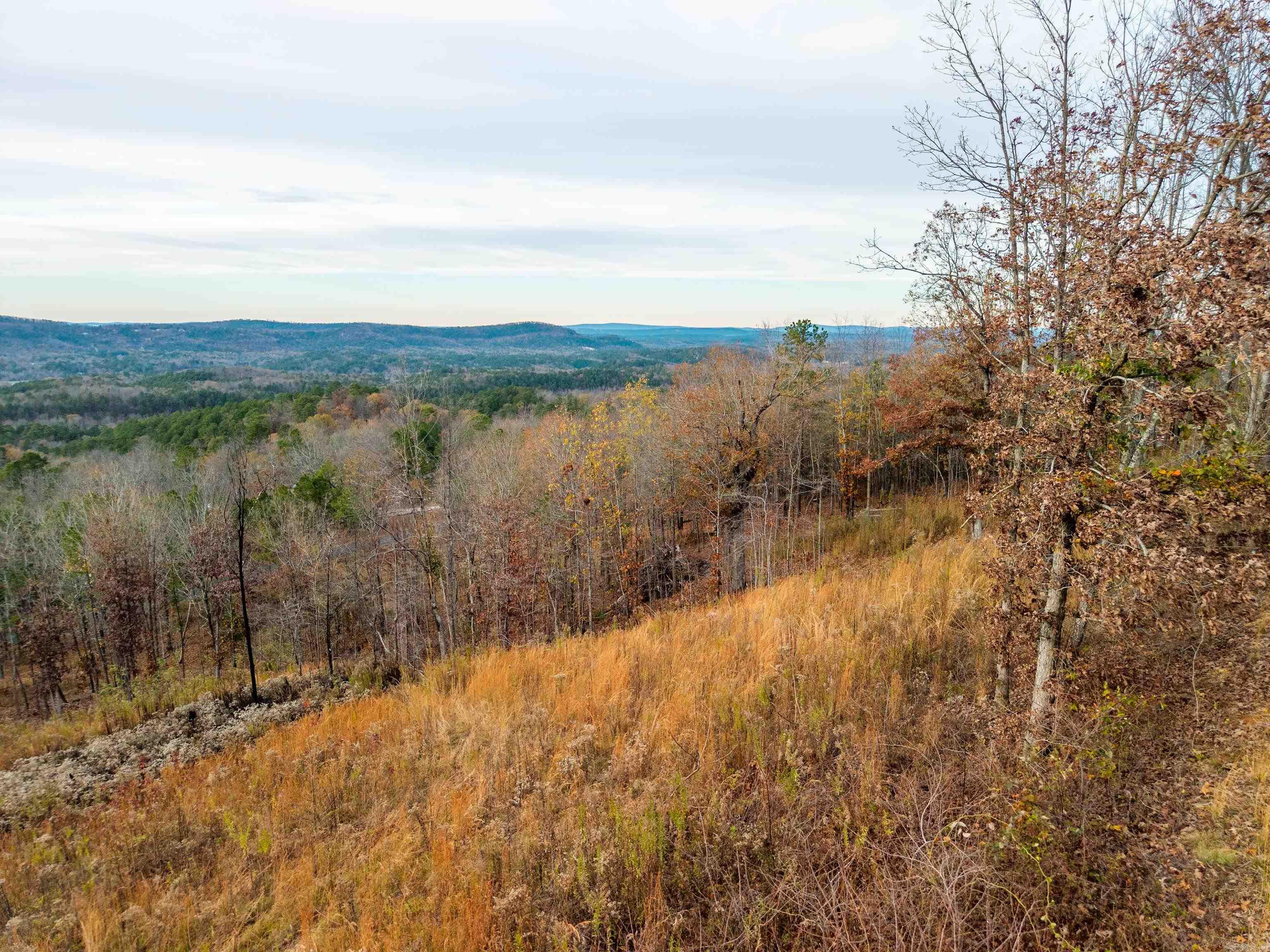 Bright Morning Star - Land