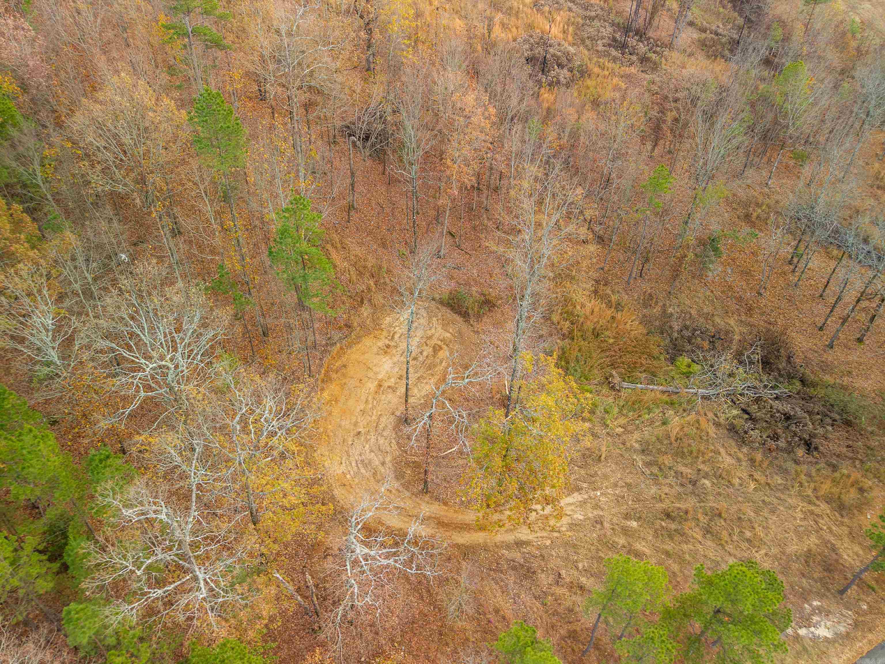 Bright Morning Star - Land