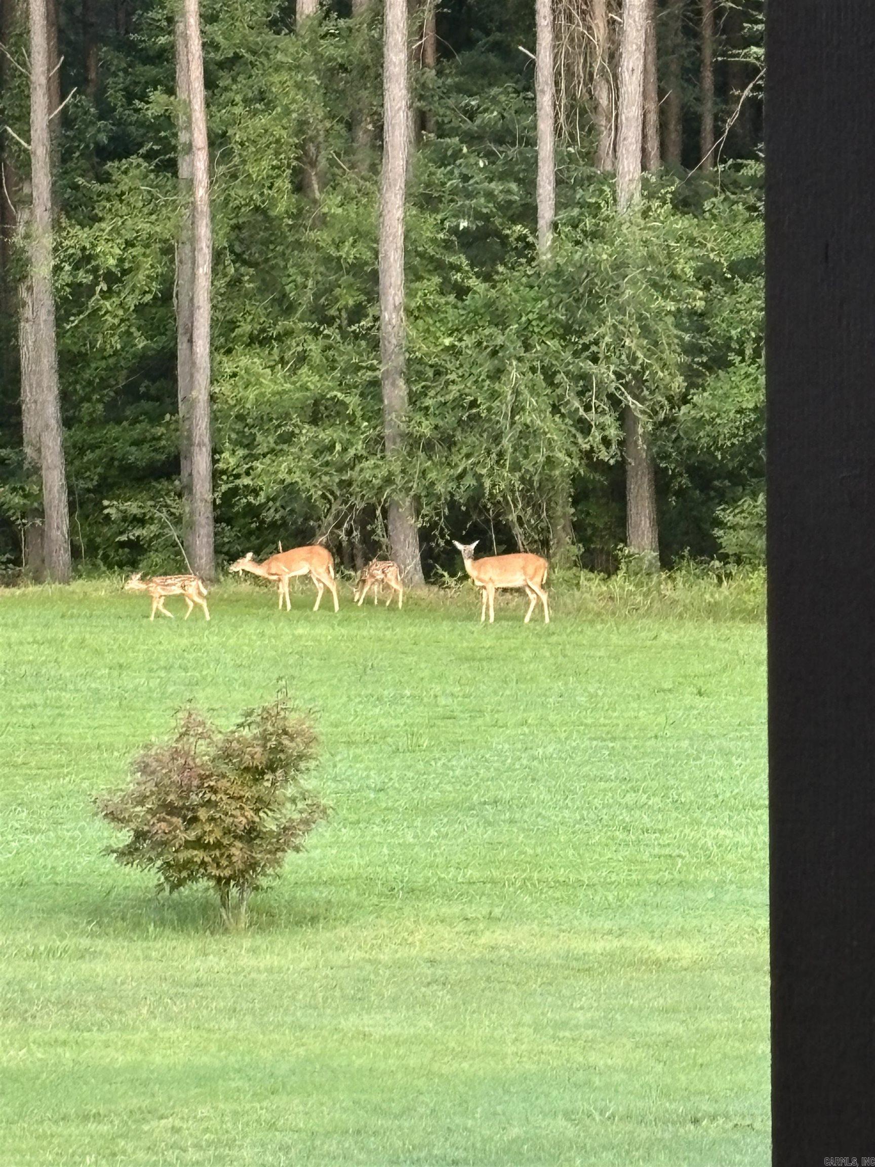 Oak View - Residential