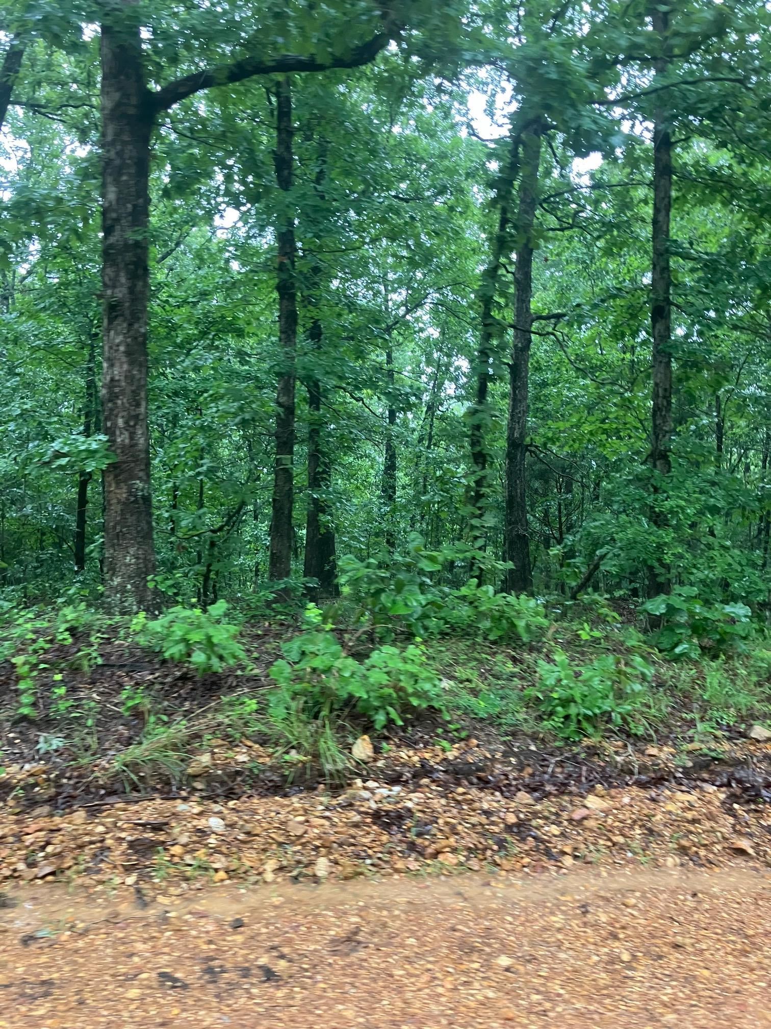 Prime hunting acreage 3 miles off Hwy 63 with good road access. This property boasts good timber, ideal for deer hunting. Electricity is not on the property, but is located nearby. Enjoy the freedom of no restrictions. Property will be surveyed. Owner financing available with $7500 down. Call today to schedule a showing!