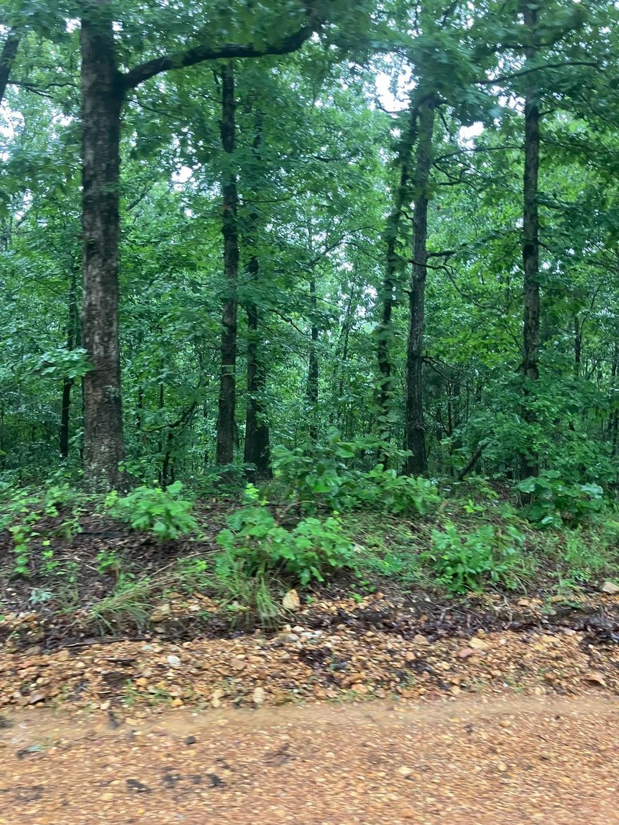 Prime hunting acreage 3 miles off Hwy 63 with good road access. This property boasts good timber, ideal for deer hunting. Electricity is not on the property, but is located nearby. Enjoy the freedom of no restrictions. Property will be surveyed. NO OWNER FINANCING! Call today to schedule a showing!