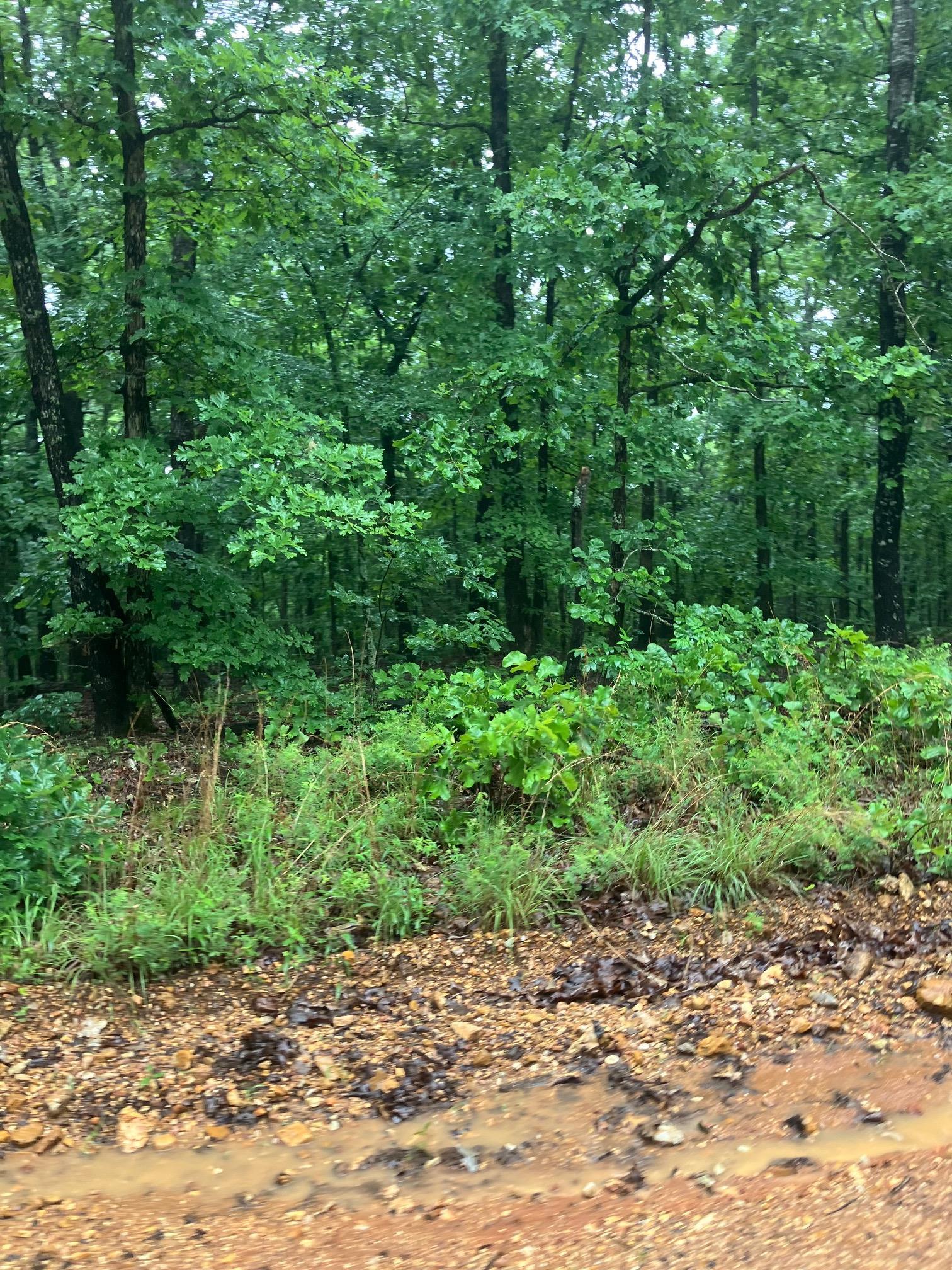 Metes & Bounds - Land