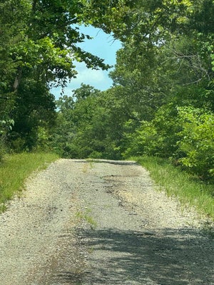 SUSQUEHANNA DR, CHEROKEE VILLAGE, AR 72529 - Image 4eafc18d601b4da9efbf36cec25b2f7c/2104018583