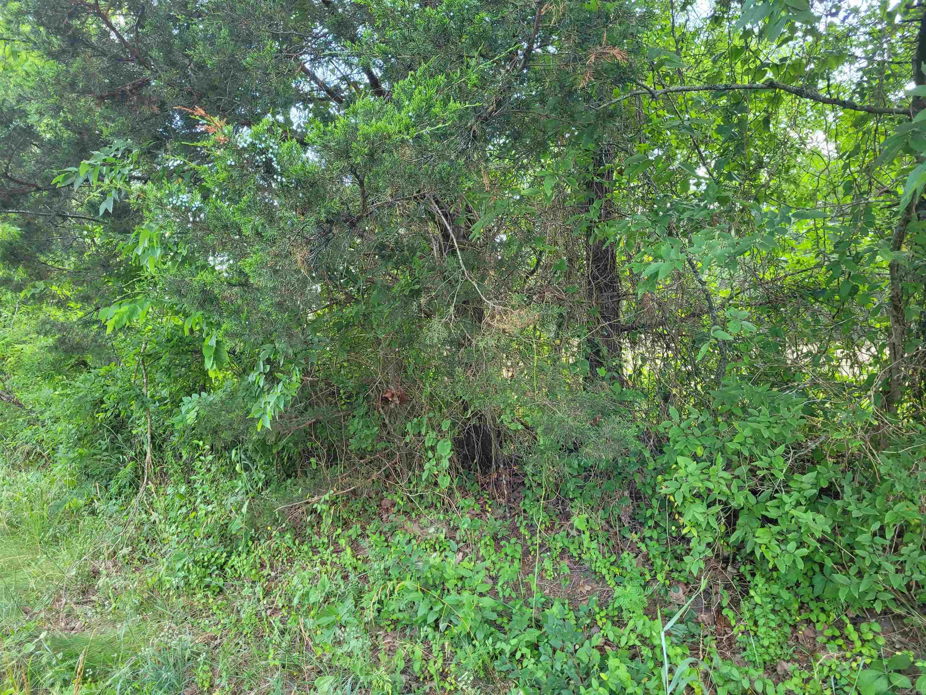 Not in Subdivision - Land