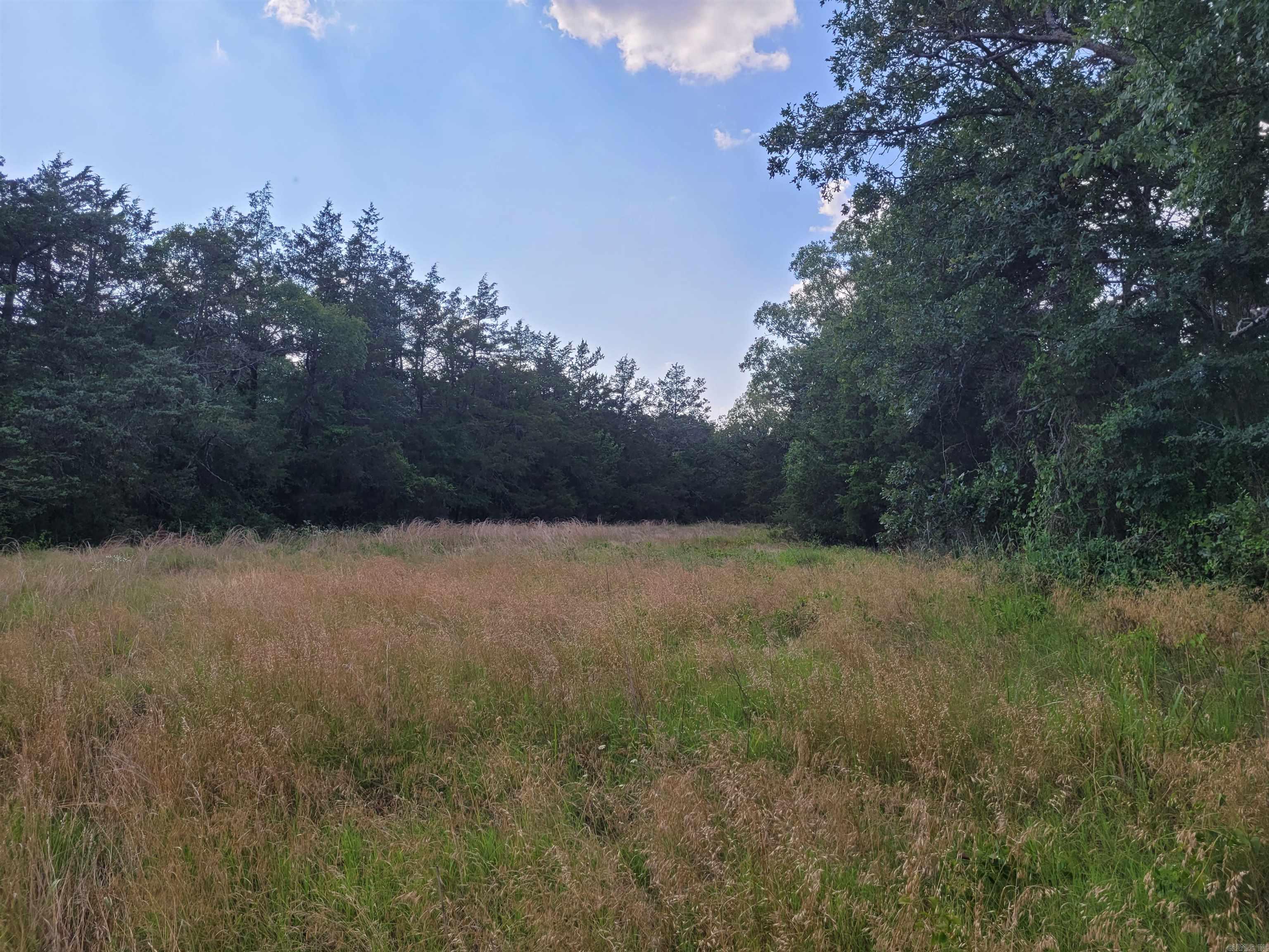 Here is a mostly wooded tract of 9.68 surveyed acres. There is highway frontage and electricity is available. A rural, country setting with rolling terrain. It would be great as a hunting property. With a little clearing, it could also be your future hobby farm. This land is close to a lot of amenities like White River, Norfork River, Lake Norfork, Mountain View, Ozark National Forest and Mountain Home. With no restrictions, you could park an RV and use for a weekend getaway near fishing and hunting!