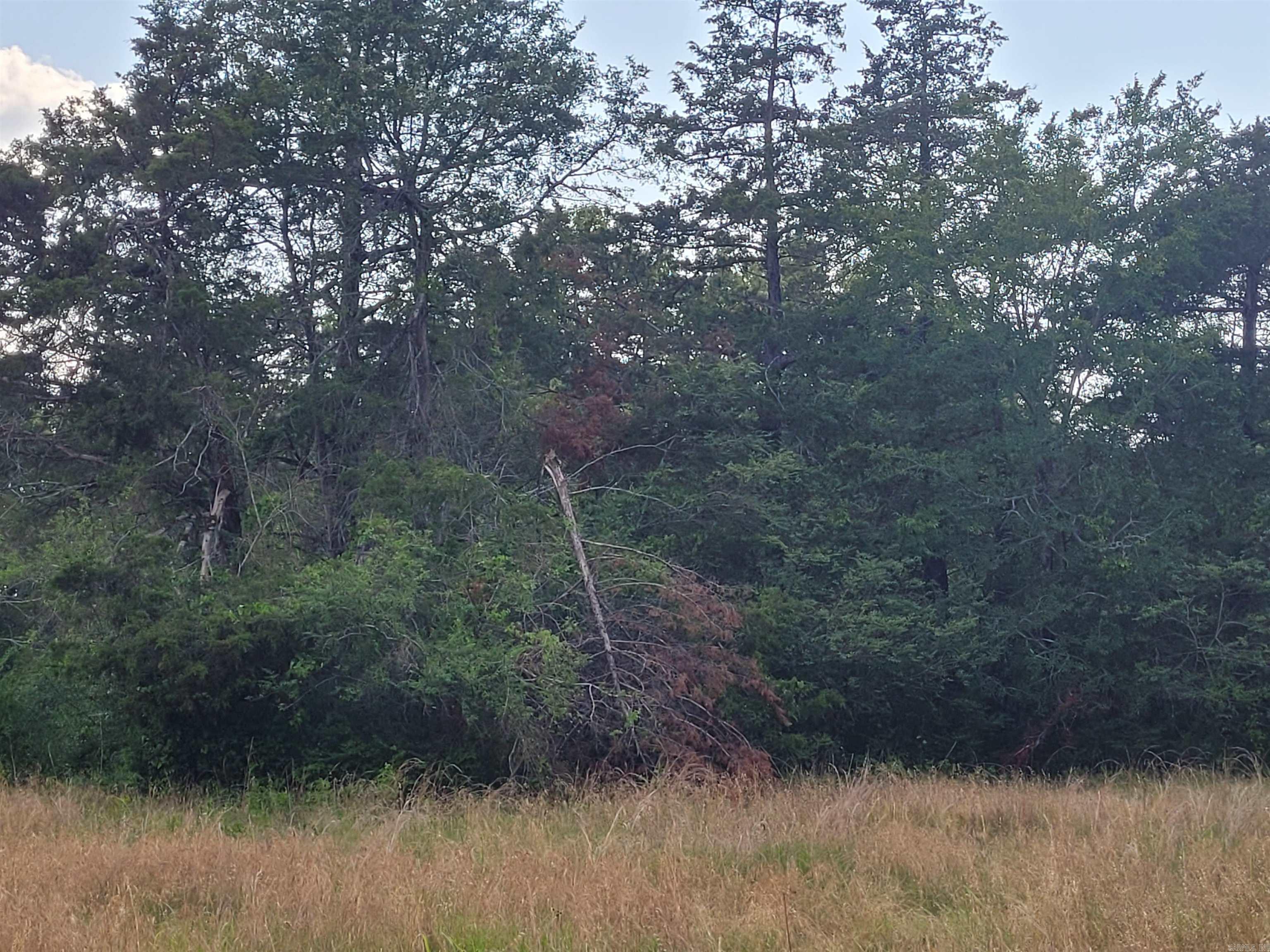 Not in Subdivision - Land