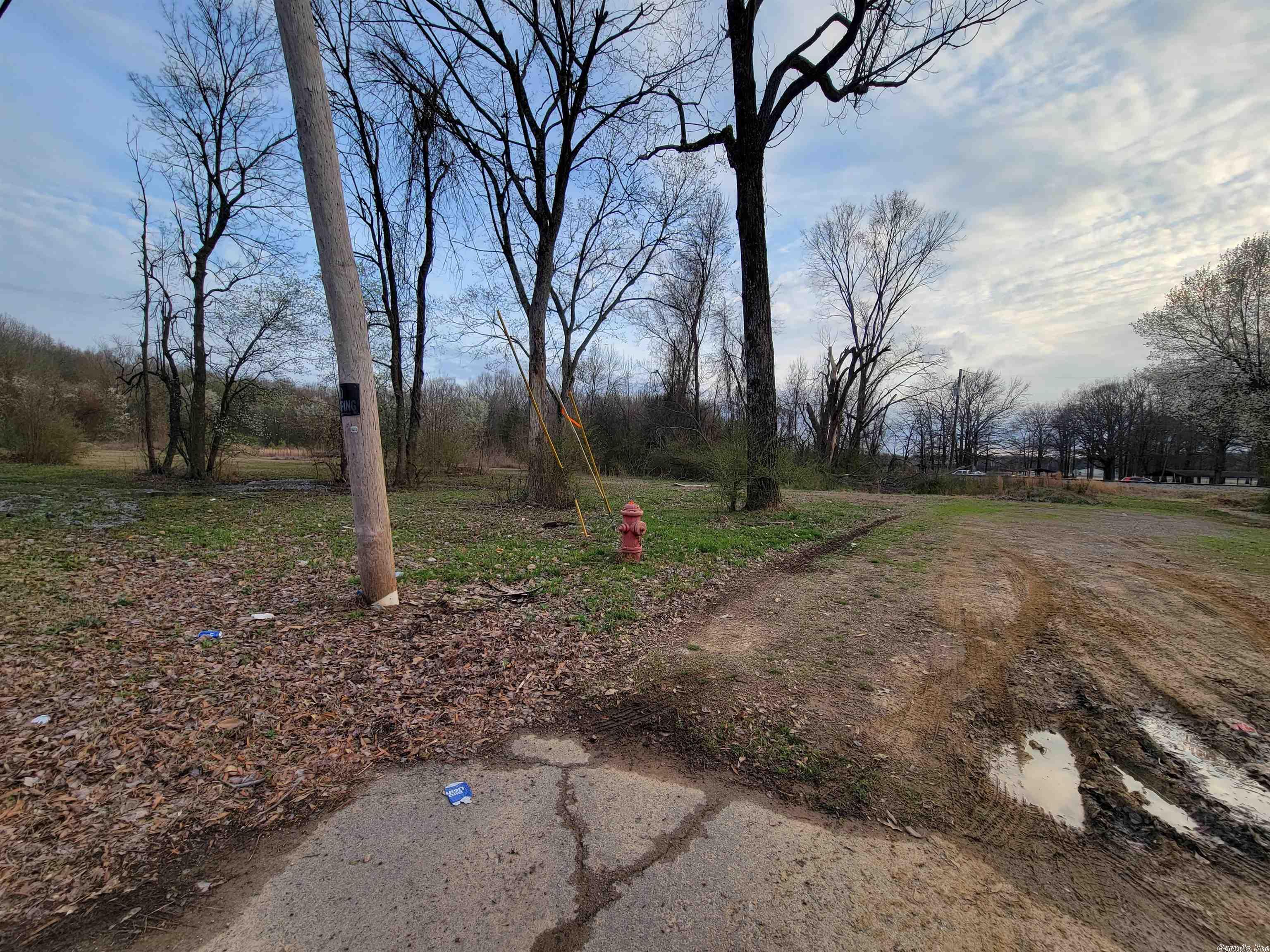 Photo 2 of 4 of 1511 Nina Street land