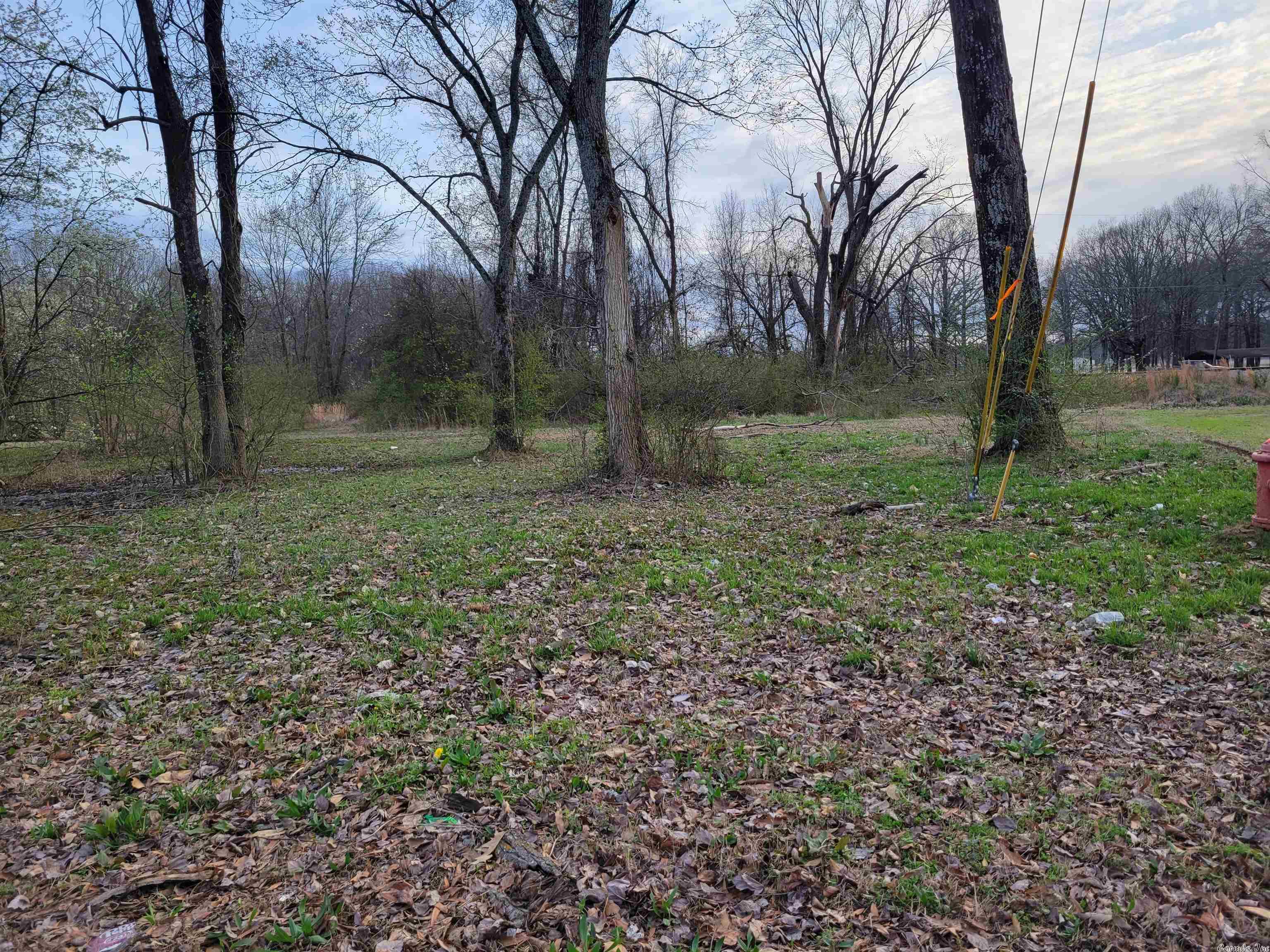 Photo 4 of 4 of 1511 Nina Street land