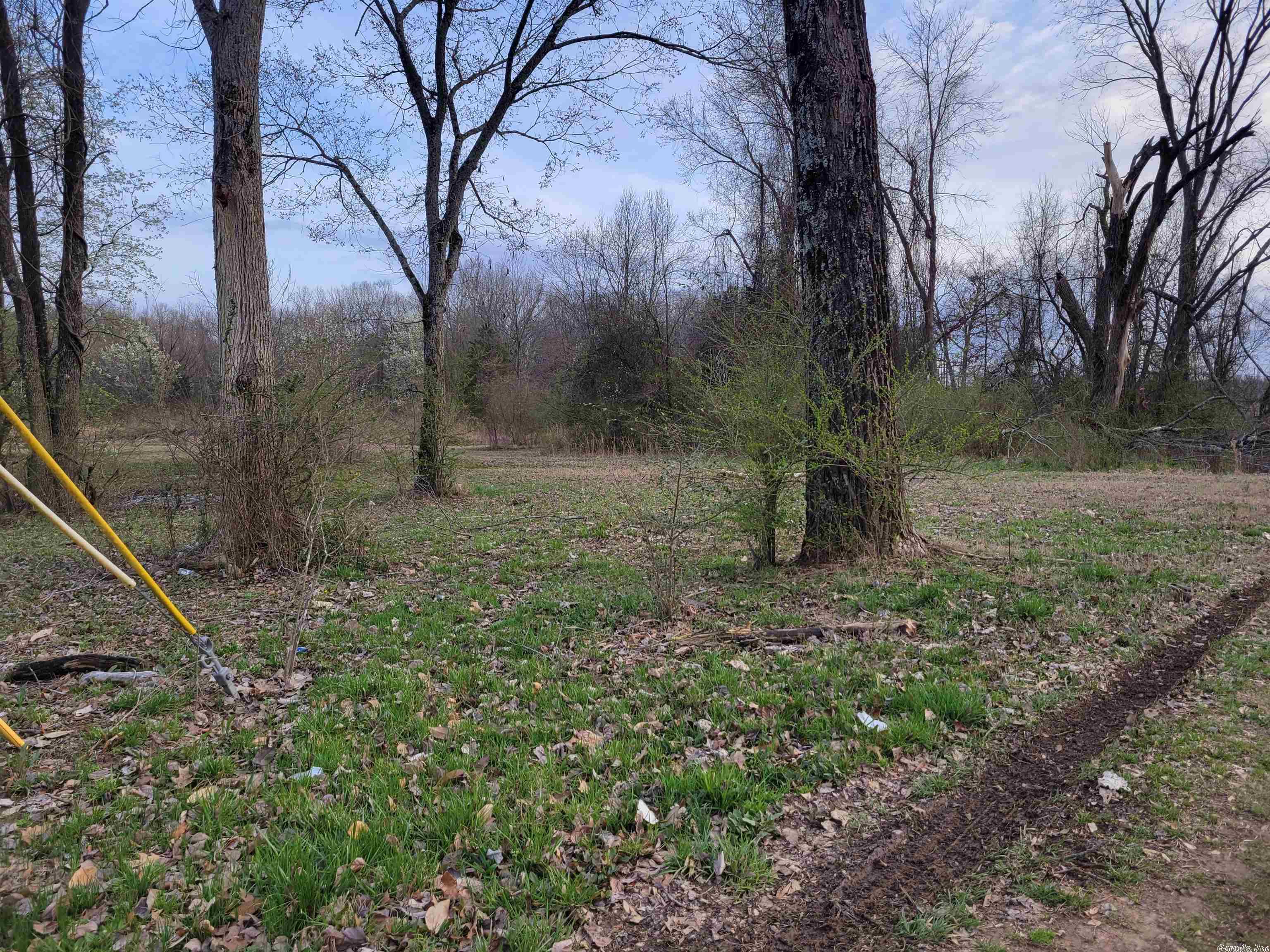 Photo 3 of 4 of 1511 Nina Street land