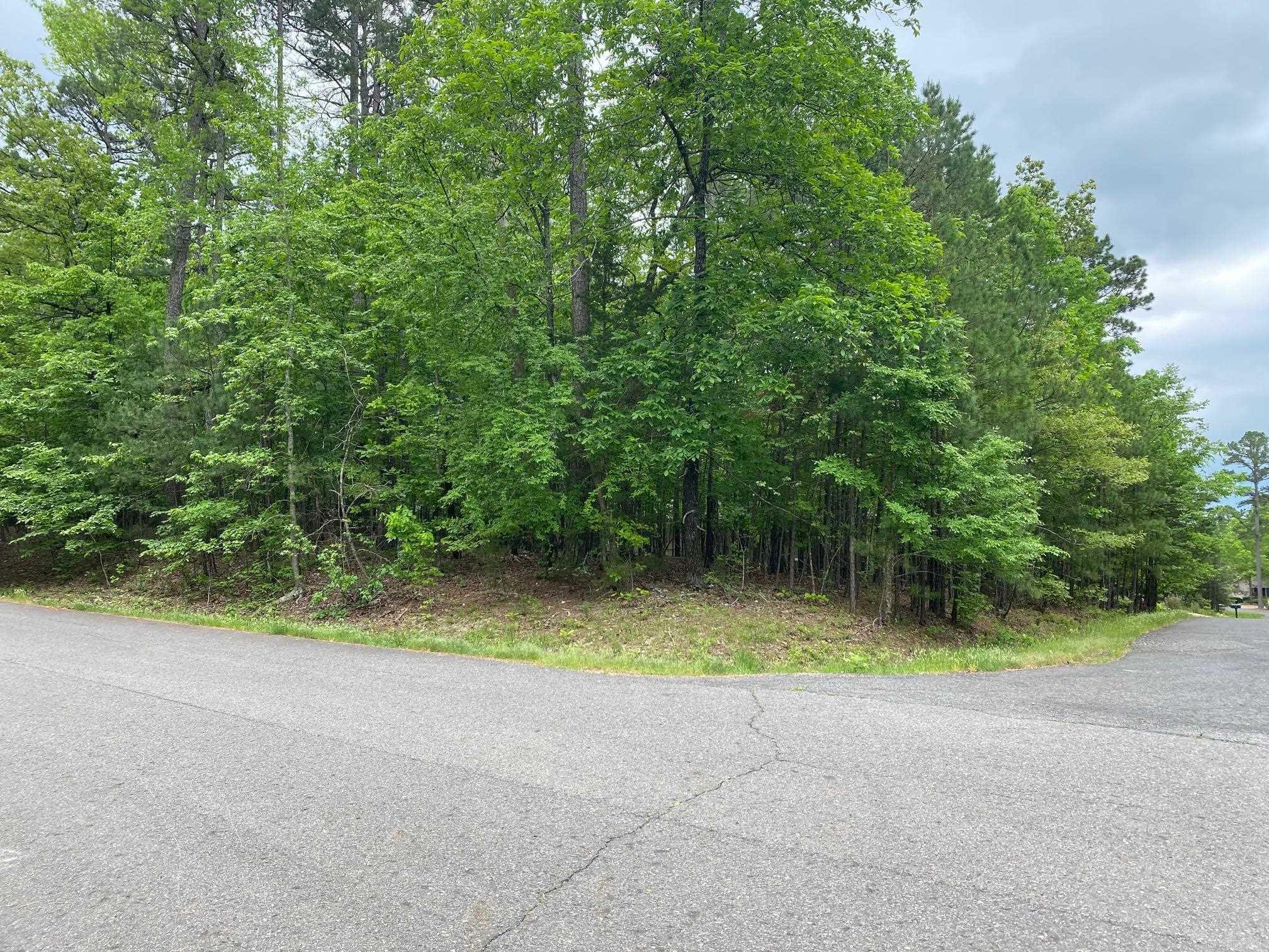 Nearly half acre of flat and wooded beauty. With the purchase of this lot the new owners become members of the Diamante Country Club and will enjoy the many privileges.