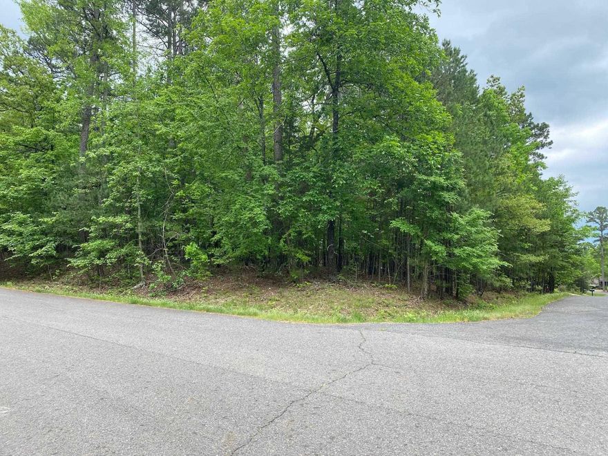 Nearly half acre of flat and wooded beauty. With the purchase of this lot the new owners become members of the Diamante Country Club and will enjoy the many privileges.