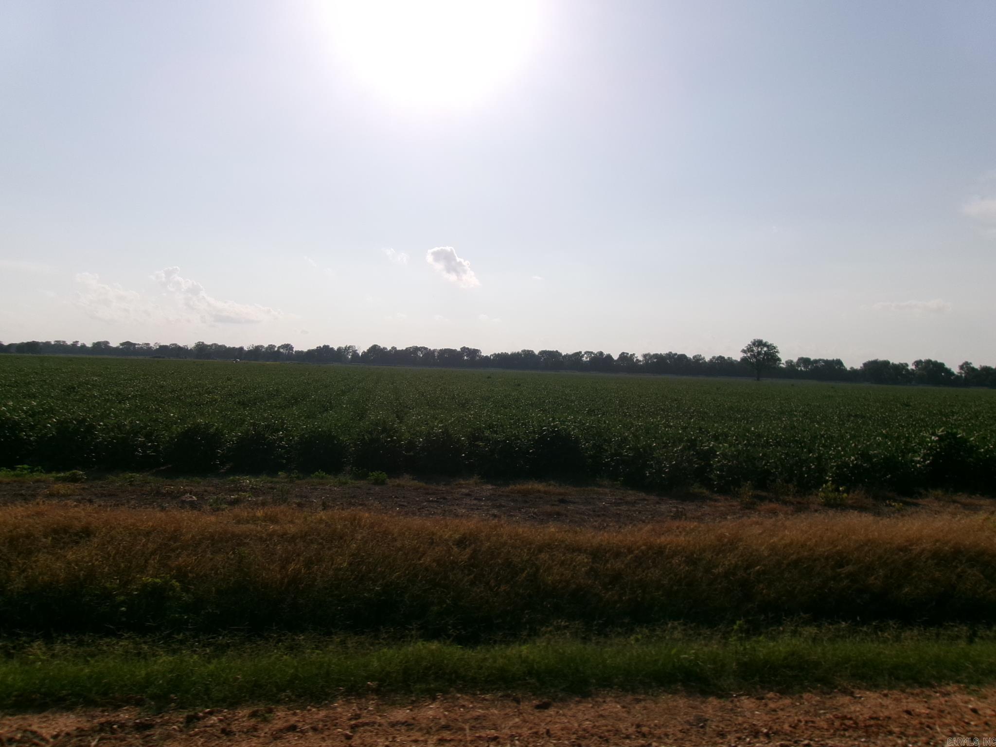 Caldwell Farms - Farm