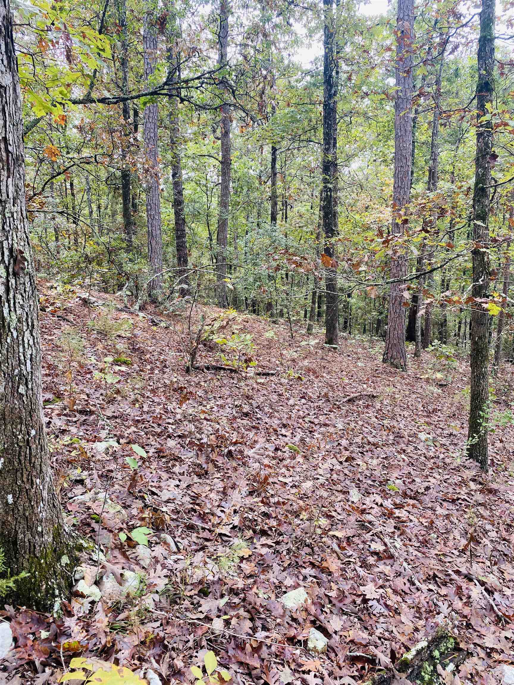 Metes & Bounds - Land