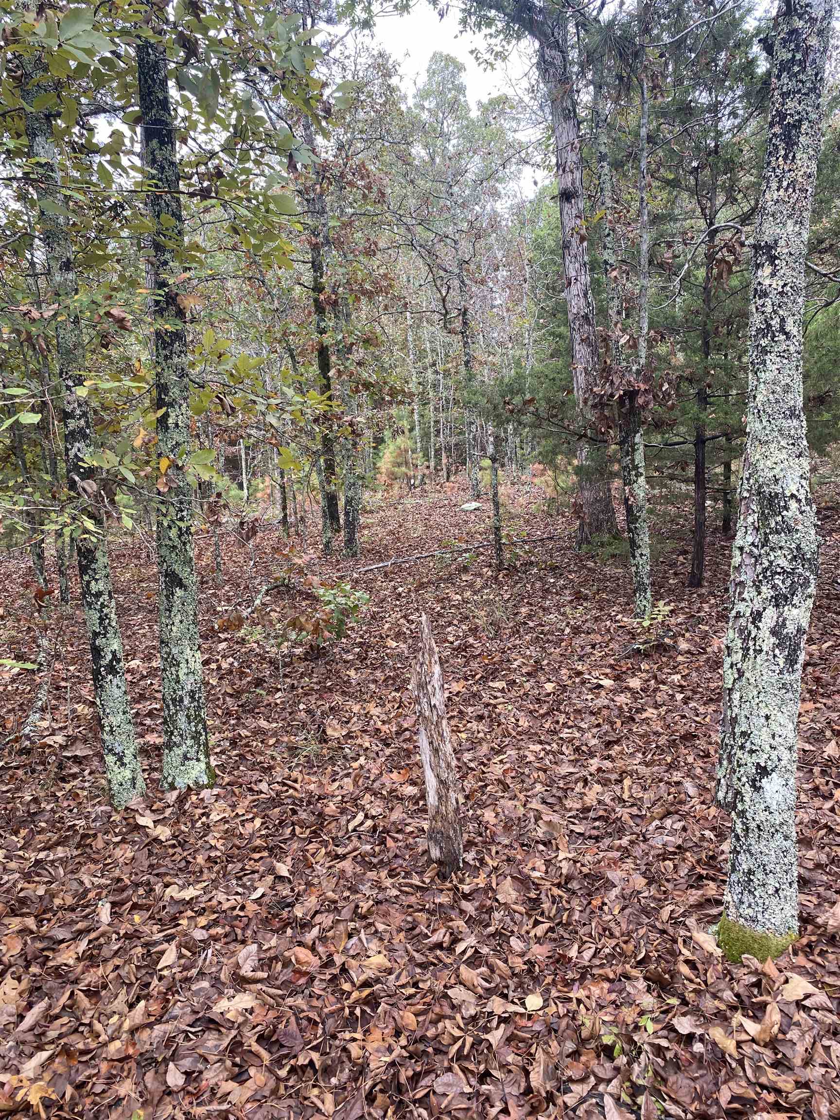 Metes & Bounds - Land