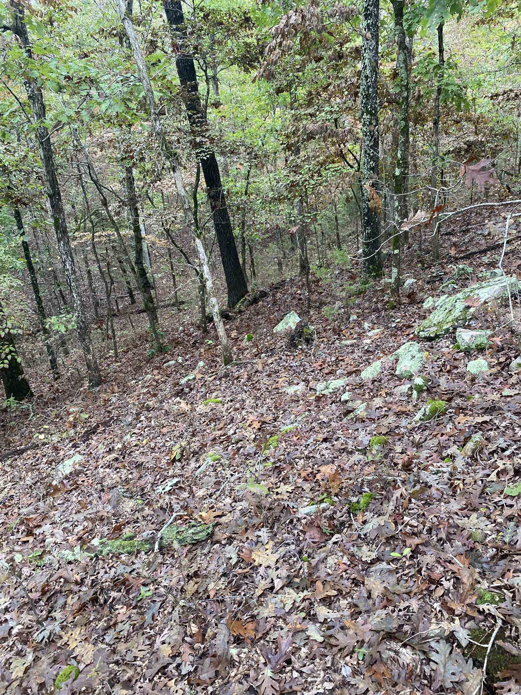 Metes & Bounds - Land